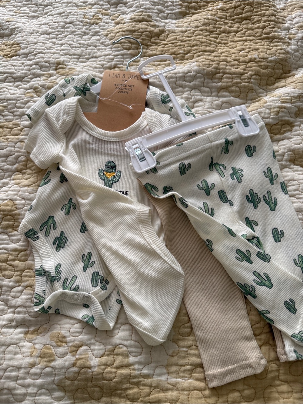 Green Cactus Infant 4pc Set